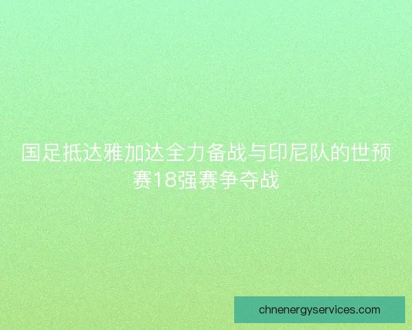 国足抵达雅加达全力备战与印尼队的世预赛18强赛争夺战