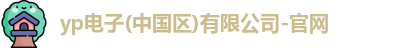 yp电子